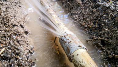 Burst Pipes